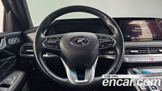 Hyundai 팰리세이드 - Опции
