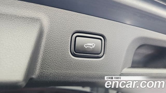 Hyundai 팰리세이드 - Опции