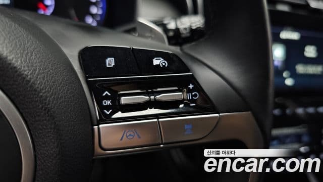 Hyundai 투싼 (NX4) - Опции