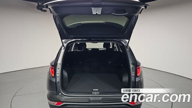 Hyundai 투싼 (NX4) - Опции