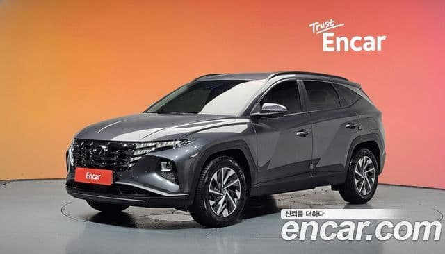 Hyundai 투싼 (NX4) - Диагностика