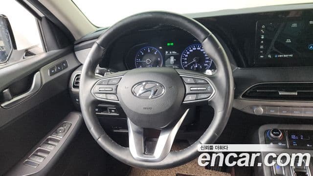 Hyundai 팰리세이드 - Опции